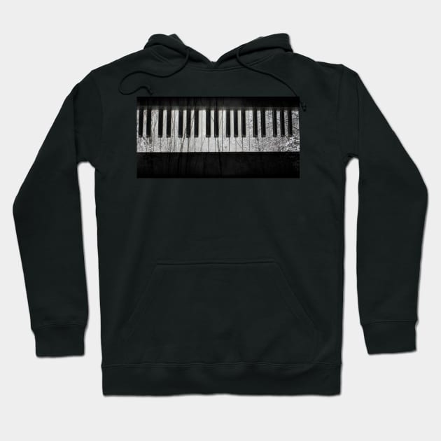 Winter Piano Hoodie by Voice0Reason